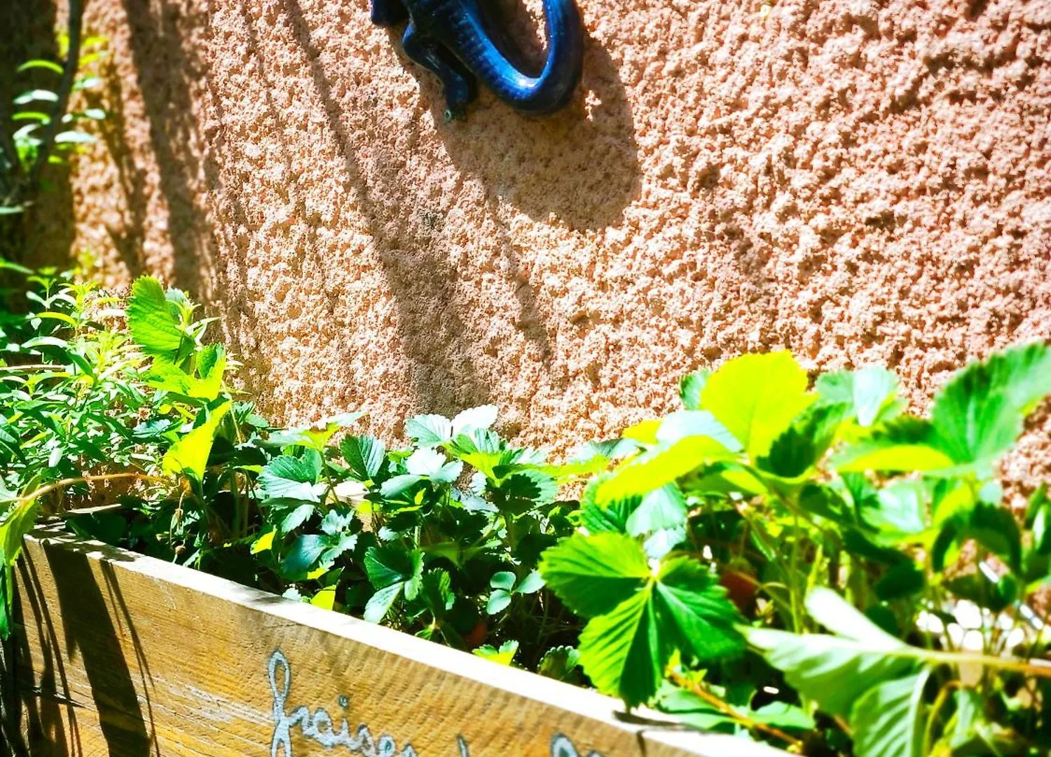Villa Cocon Provencal Gardanne
